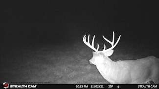 Elk Creek Rd, Viola, WI 54664