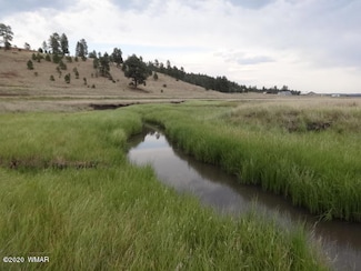 Lot 23 the Ranch at Alpine, Alpine, AZ 85920