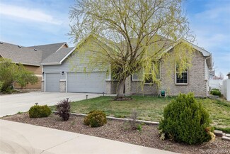 157 Basswood Ave, Johnstown, CO 80534