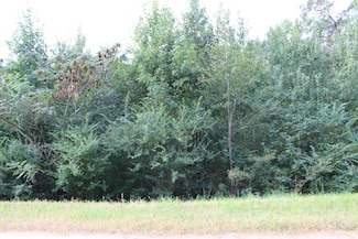 0 County Road 451, Cullman, AL 35057