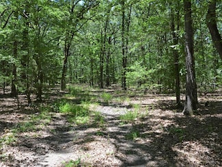 County Rd 14590, Pattonville, TX 75468
