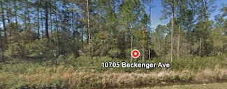 10705 Beckenger Ave, Hastings, FL 32145