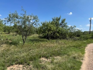 14235 Fawn Dr Unit Tract 33, Carlsbad, TX 76934