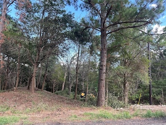 135 Heleakala Dr, Bastrop, TX 78602