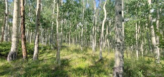 Lot 5837 Sheldon Rd, Fort Garland, CO 81133