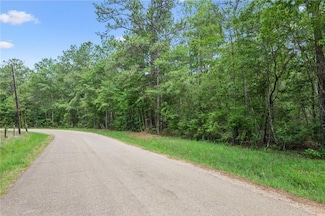 Parcel 2 6 49 Acres Bruhl Rd, Folsom, LA 70437