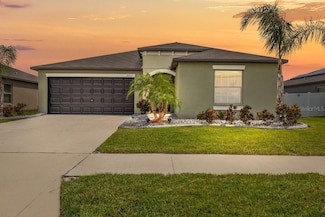 10333 Scarlet Skimmer Dr, Riverview, FL 33578