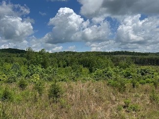 TBD Marian Rd, Dugspur, VA 24325