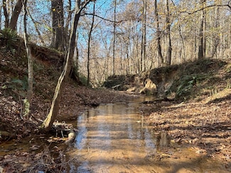 1597 Oconee Rd, Buckhead, GA 30625