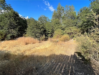 9204 Diamond Dust Trail, Kelseyville, CA 95451
