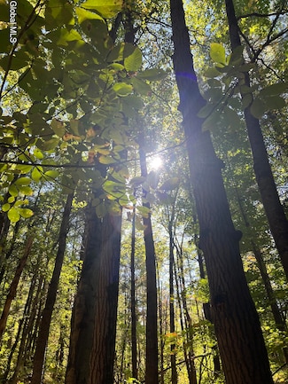 87 Bulson Rd, Troy, NY 12180