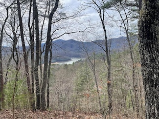 Lot 98-2 Wild Orchid Trail, Bryson City, NC 28713
