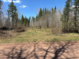 ON Dunham Rd, Marenisco, MI 49947