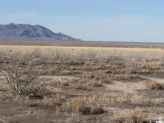 1500 S 15000 W, Delta, UT 84624
