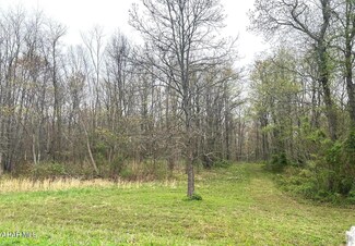 Lot #20 Ridge Way Dr, Snake Spring Township, PA 15537