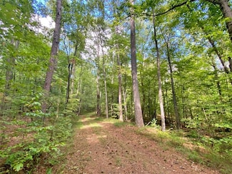 153AC Whitepath Rd, Ellijay, GA 30540