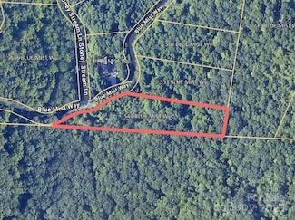 547 Bluemist Way Unit 85, Arden, NC 28704