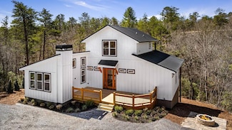 295 Mountain Laurel Ridge, Mineral Bluff, GA 30559