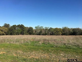 12721 Ridgeway Ct, Winona, TX 75792