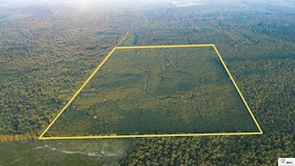 0 U S Highway 167, Junction City, LA 71256