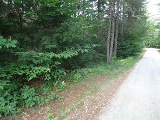 35 Spruce Ln, Danbury, NH 03230