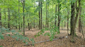 2825 Stardust Dr, Tuscaloosa, AL 35405