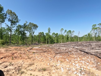 1451 Mississippi 4, New Site, MS 38859