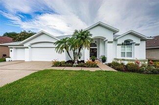 8015 Maidencane Dr, Trinity, FL 34655