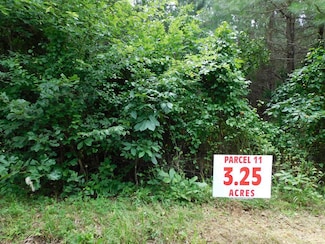 3.25 AC Neals Corner Rd, Clover, VA 24534