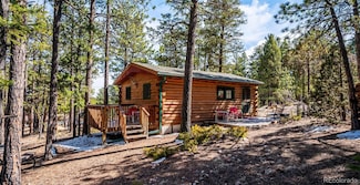 33885 La Plata Ln, Pine, CO 80470