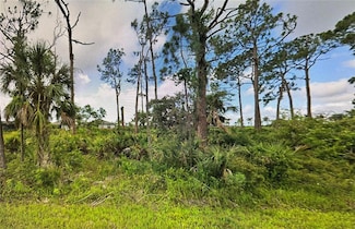 15461 Wyandotte Ave, Port Charlotte, FL 33953