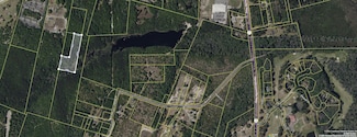 O Cobb Ct Interior Parcel, Walterboro, SC 29488