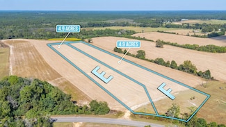 4.91 Acres - E McPhail Farm Rd, Florala, AL 36442