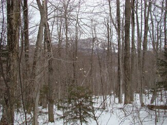 1 Rogue's Ridge Rd, Winhall, VT 05340