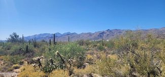 12732 E Nighthawk Ranch Place, Tucson, AZ 85749