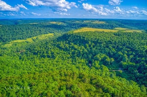 0 Tract 12 Terrapin Rd Unit 145607, Harrison, AR 72601