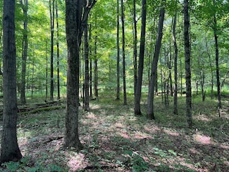 2231 W Eldred Rd, Eldred, PA 16731