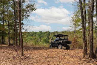 79 Tennessee 232, Dover, TN 37058