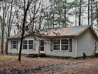 272 White Pine Ln, Croswell, MI 48422