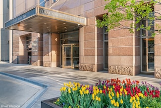 161 E Chicago Ave Unit 33DE, Chicago, IL 60611