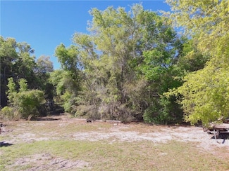 0 Lake Lowery Rd Unit MFRTB8392888, Haines City, FL 33844