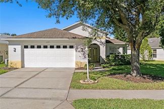 1249 Winding Willow Dr, Trinity, FL 34655