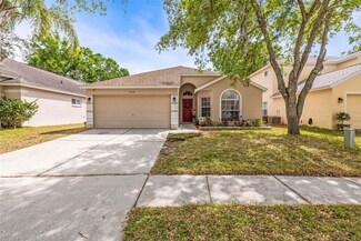 13438 White Elk Loop, Tampa, FL 33626