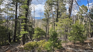 Lot 5261 Scott Rd, Fort Garland, CO 81133