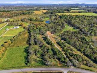 8919 Carlton Rd, Christiana, TN 37037