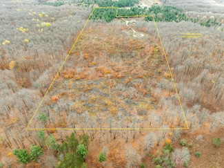 VL Mancelona Rd, Mancelona, MI 49659