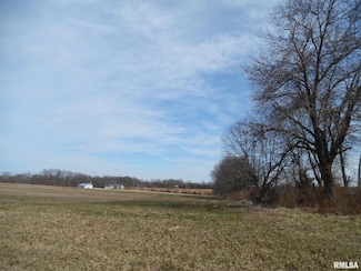 Tract 7 N Mcdermott Ln, Shiloh Township, IL 62864
