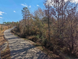 300 BLOCK OF Jimmie Coleman Rd, Buckville, AR 71949