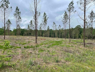 0 Grant 433 (Tract B), Sheridan, AR 72150