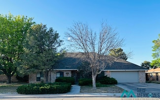 2 Vista Parkway Cir, Roswell, NM 88201